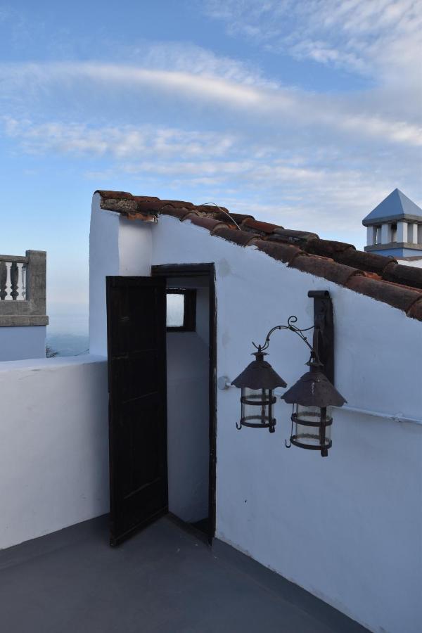 Готель Gato Azul - Coliving Ла-Оротава Екстер'єр фото